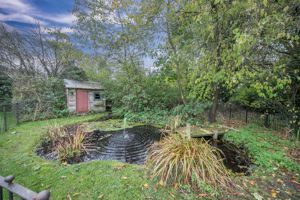 STURRICK LANE- click for photo gallery